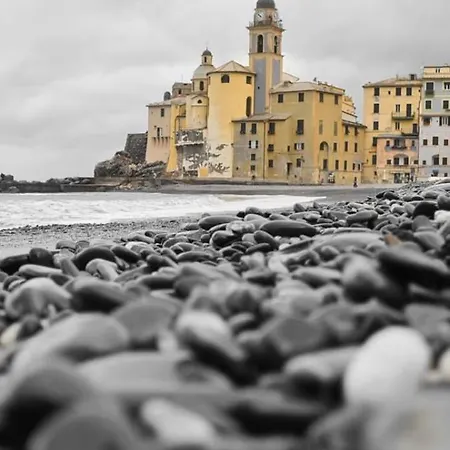 Casetta Del Marinaio Guest house