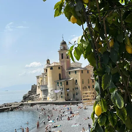 Guest house Casetta Del Marinaio